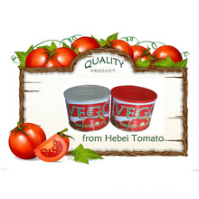 Canned Tomato Paste for Nigeria